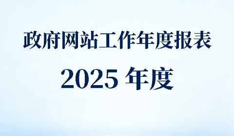 网站工作年度报表图片.png